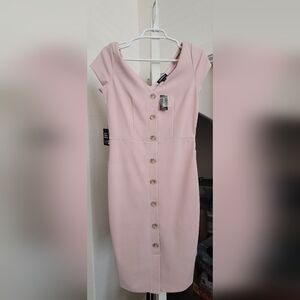 Express Pink Dress